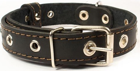 Ошейник "Стандарт" однослойный 25мм безразмерный до 56см цвета в ассортименте