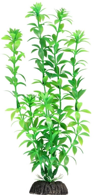 Растение "Гемиантус" зеленый, 400мм, Laguna