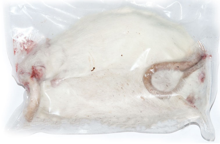 Крыса подросток заморож. БЕГУНКИ 3 шт