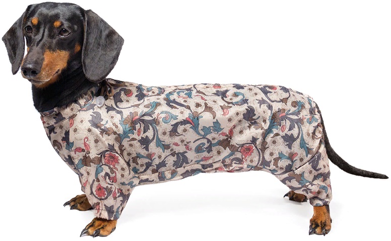 Комбинезон демисезонный "Кроличья такса", 36см