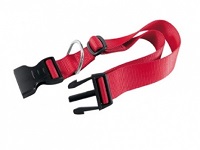 Ошейник CLUB C25/70 с пластиковым креплением красный