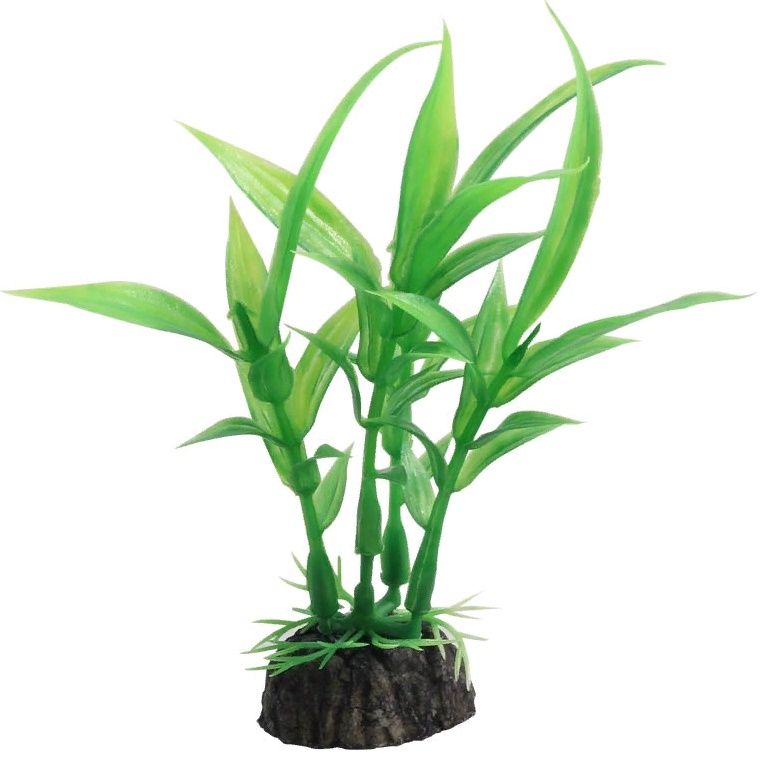 Растение "Гигрофила" зеленая, 100мм