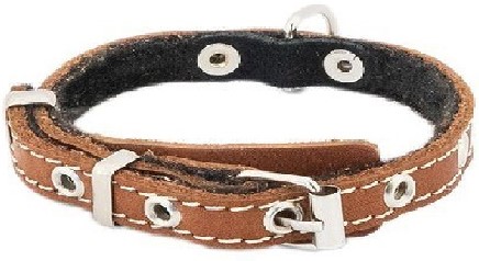 Ошейник кожаный ECO серия"ДРУГ", язычок,на фетре,простроченный