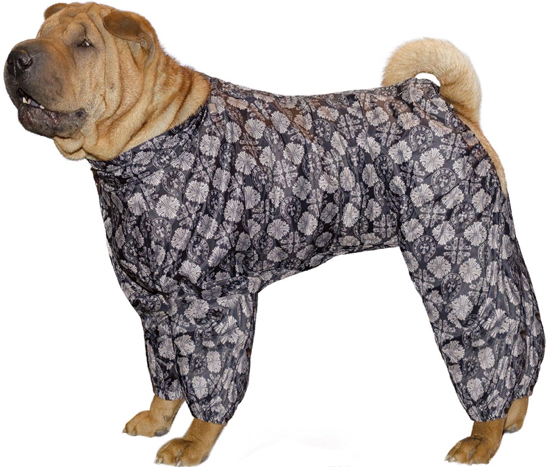 Комбинезон-дождевик "Шарпей", 47см