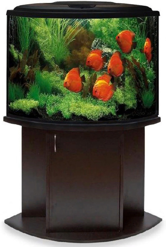 Аквариум сектор 85л с Крышкой и Тумбой Черный