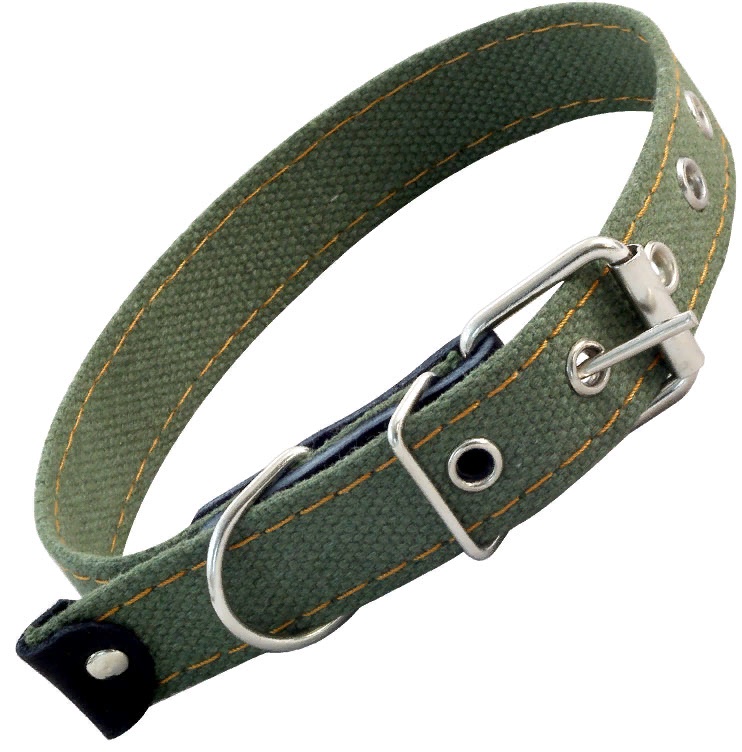 Ошейник брезентовый, 25*530мм