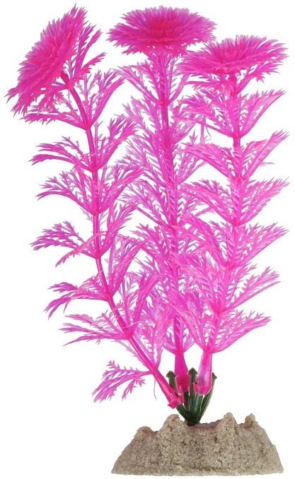 Растение флуоресцирующее GloFish 13см