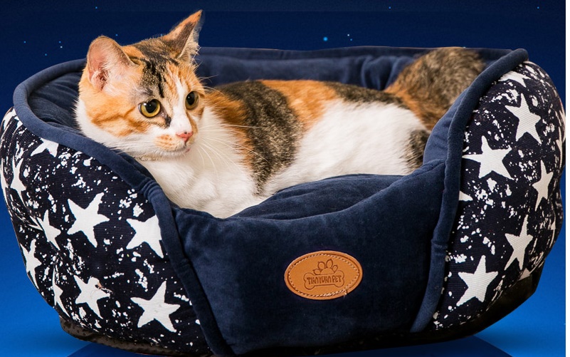 Лежанка "Звезды" M57*52*14