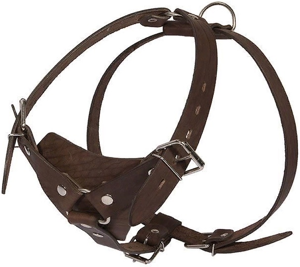 Шлейка 35мм караульная овчарка