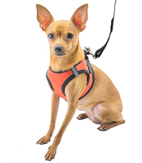 Шлейка+Поводок для собак "Конфетти-ТОП №2" обхват груди 23-28см (цв.эко-кожа) ТМ "ЕСО"