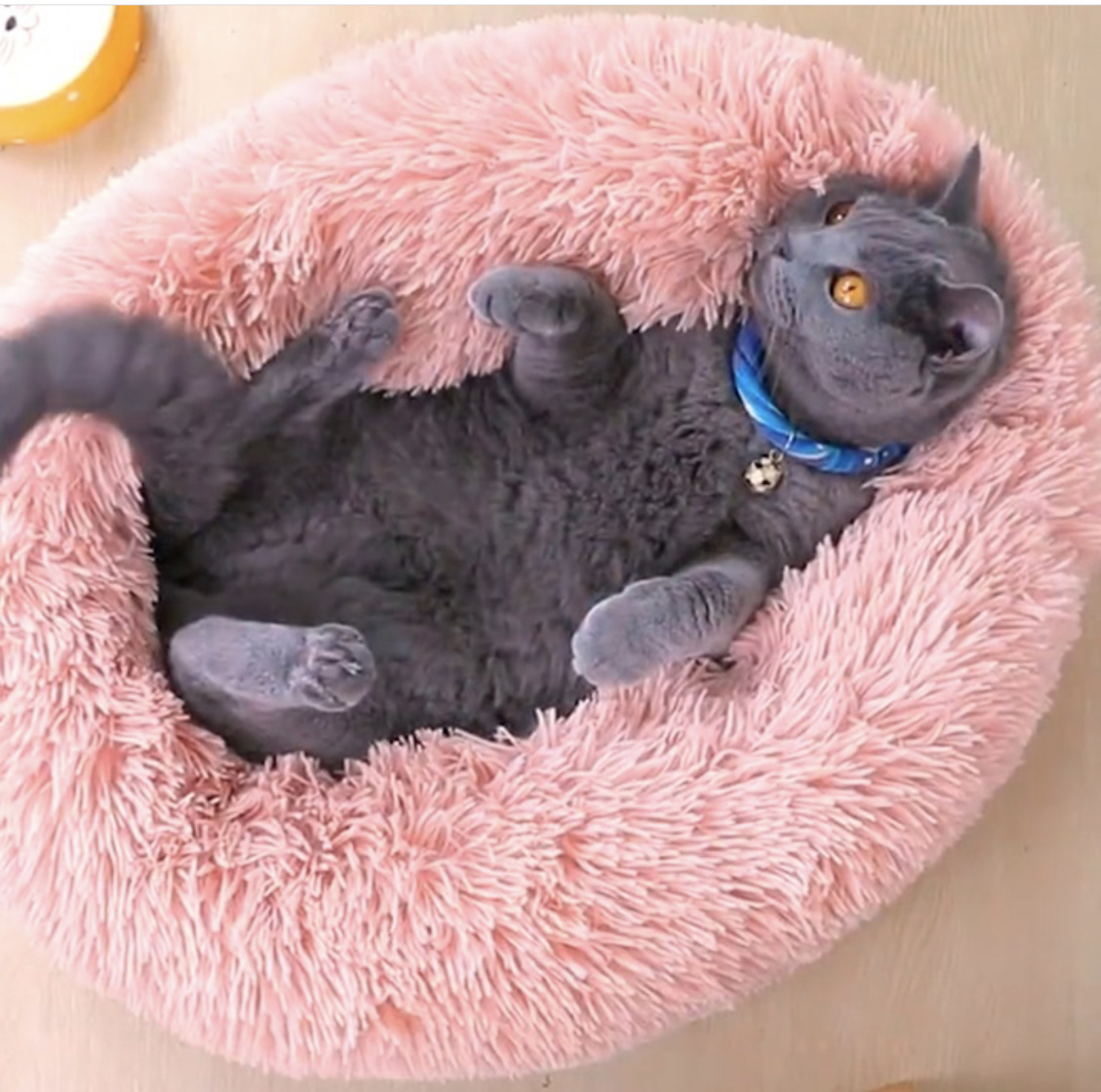 Лежак ватрушка Антистресс