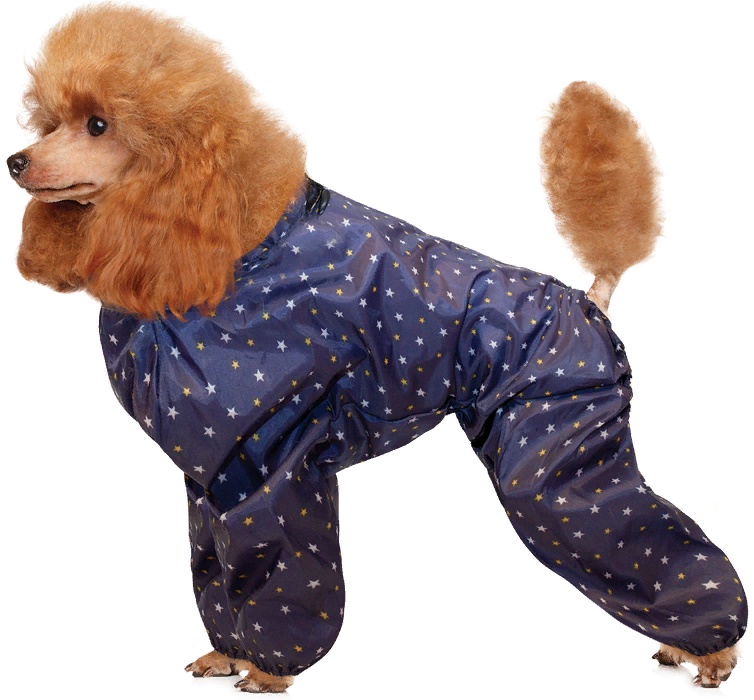 Комбинезон зимний Пудель, 31см