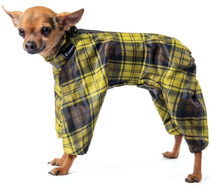 Комбинезон-дождевик "Той-терьер", 23см