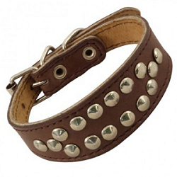 Ошейник-мини кожаный двойной «Такса» с украшением, 35х340мм