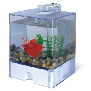 Аквариум 1515AA "Aqua Box Betta" 3л 150*150*225мм