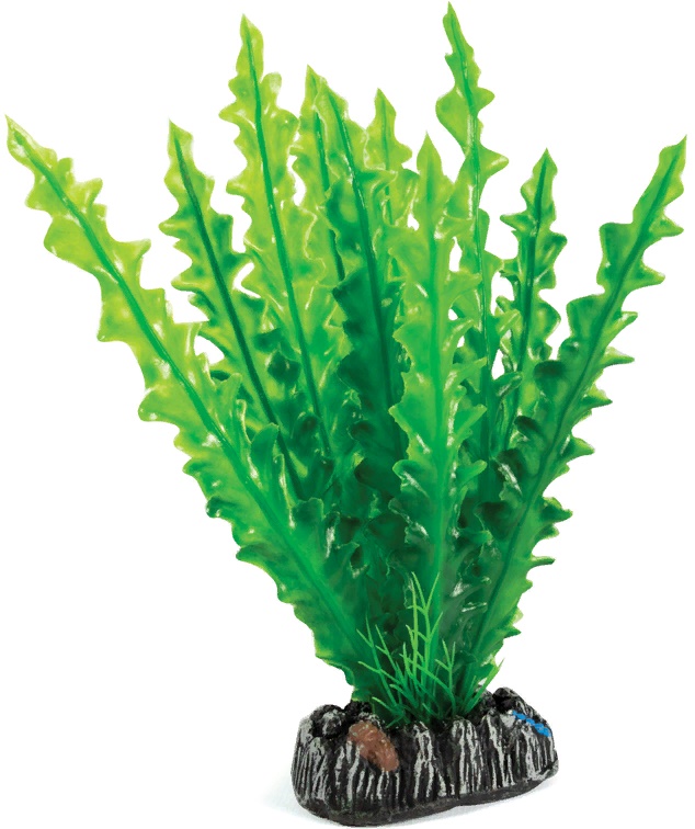 Растение "Апоногетон", 200мм