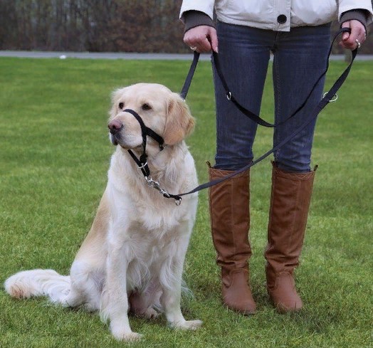 Намордник тренировочный, XL, 46см (длина шейного ремня 54-66см)