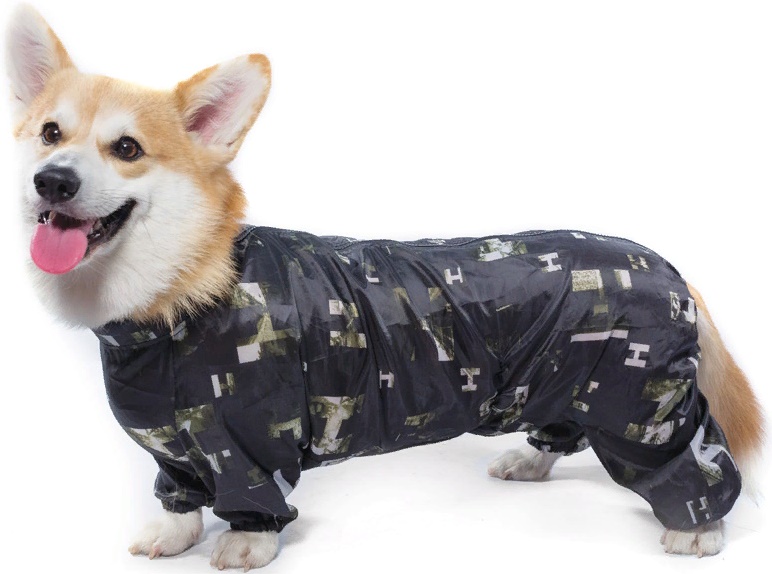 Комбинезон-дождевик "Корги" 49см