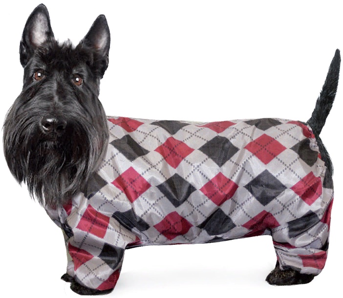 Комбинезон зимний "Скотч-терьер", 37см