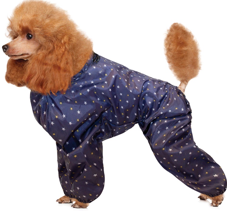 Комбинезон демисезонный "Пудель", 31см