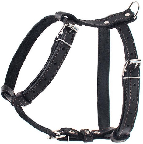 Шлейка 20мм прогулочная, обхват шеи 50см, обват груди 70см