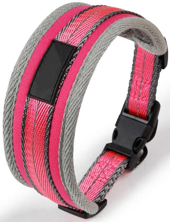 Ошейник для собак с мягкой подкладкой