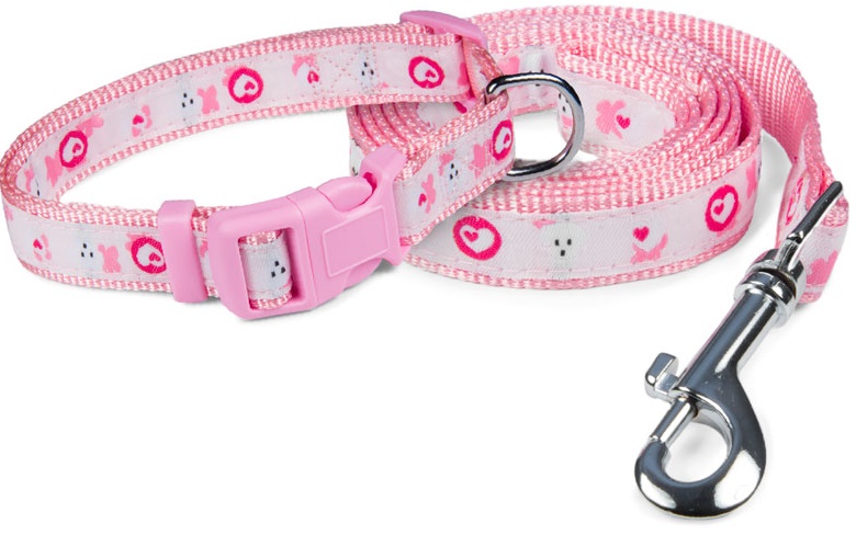 Комплект ошейник и поводок нейлоновый