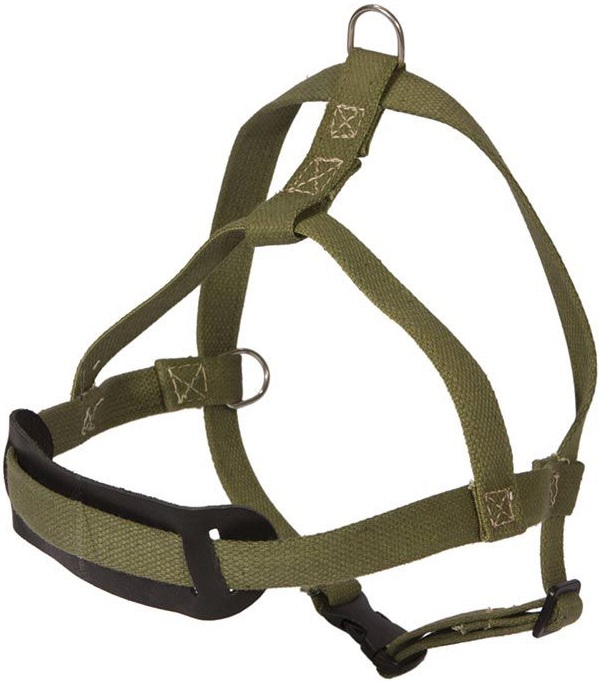 Шлейка брезентовая универсальная простая 25мм*80см*60см