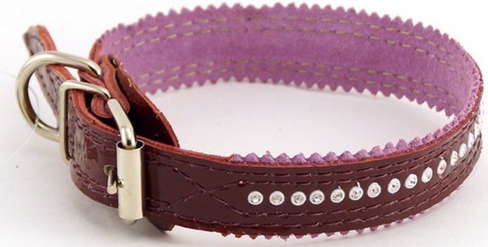 Ошейник со стразами ZooMaster в ассортименте