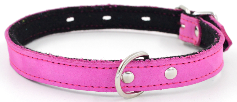 Ошейник 1111 COLOR LINE однослойный нубук/фетр 12мм 21-29см