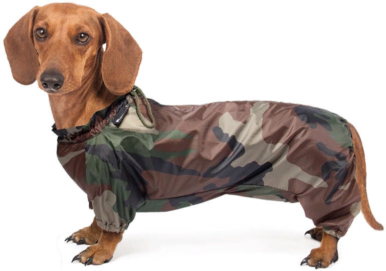 Комбинезон-дождевик "Такса", 41см