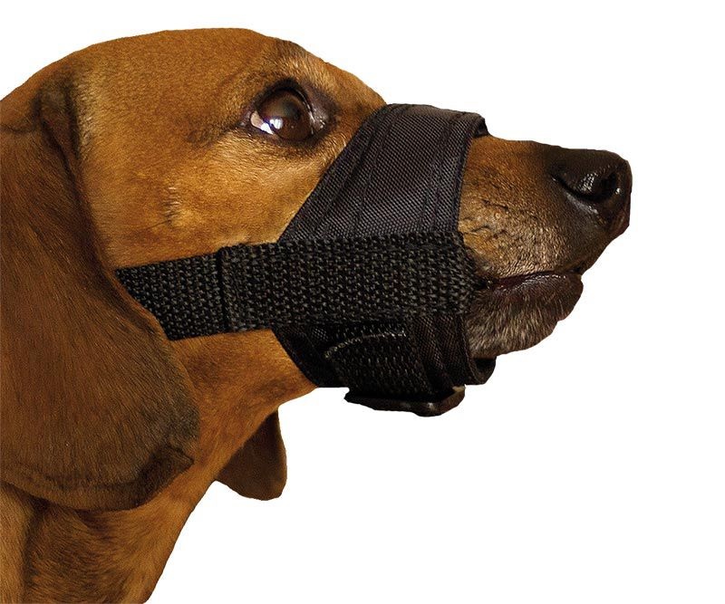 Намордник "ДАРЭЛЛ" нейлон. регулируемый №6 26-35см черный